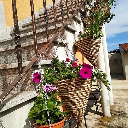 Dorina Apartamento Buje