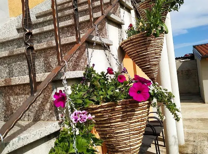 Dorina Apartment Buje